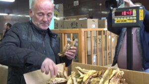 Повеќе од две милијарди денари легнаа на сметките на тутунопроизводителите