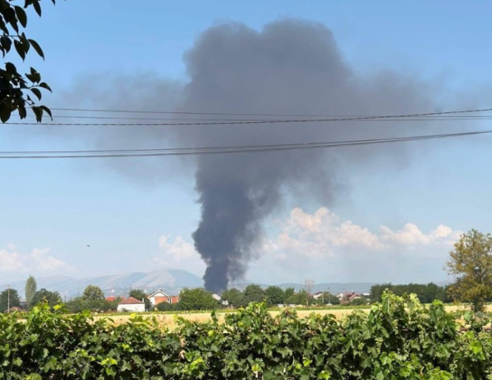Пожар кај скопско Визбегово