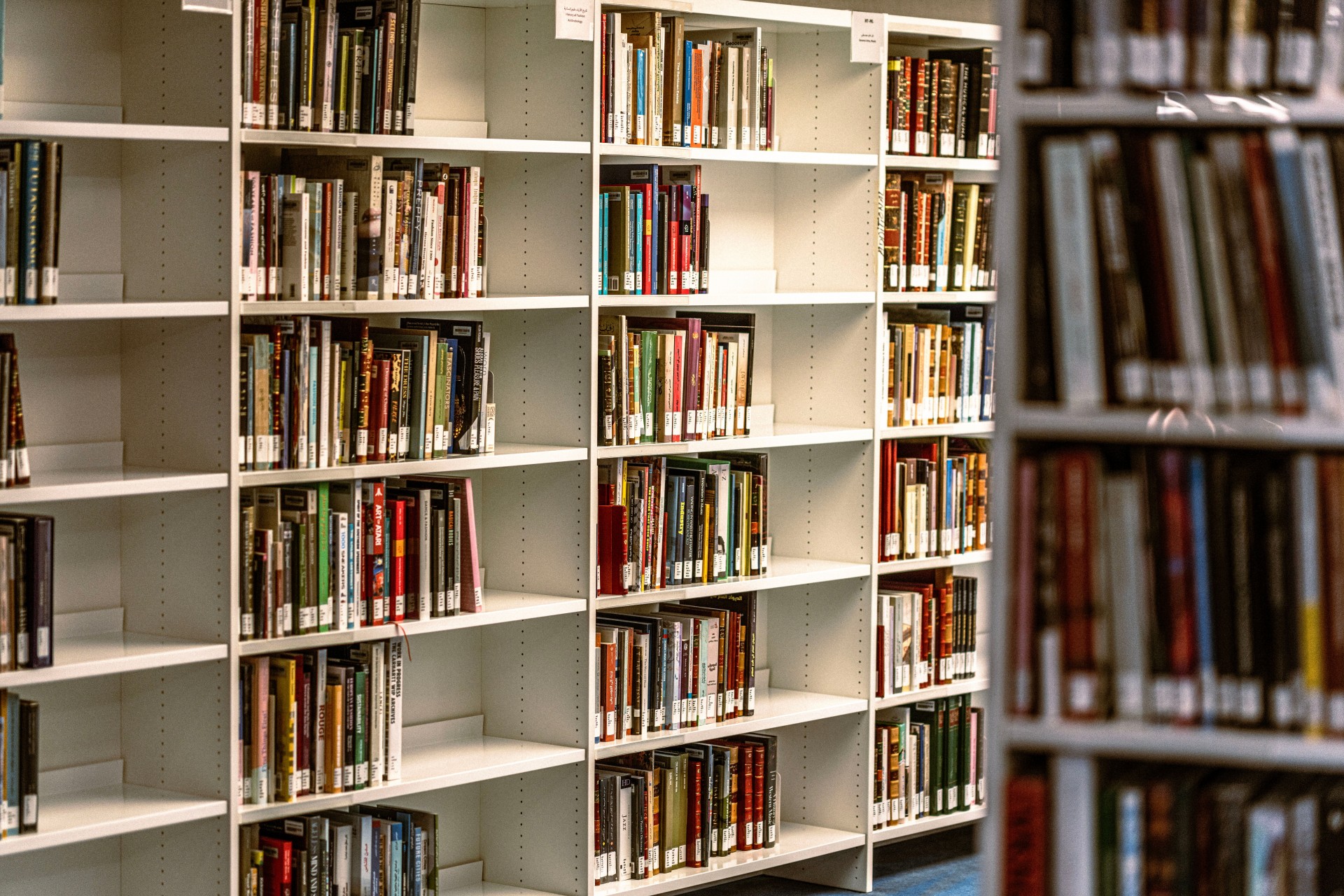 Книжарницата „Антолог“ загуби десетици илјади книги по вчерашното невреме во Скопје
