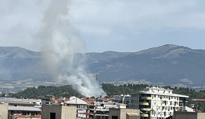Пожарот во Парк-шумата Гази Баба е ставен под контрола