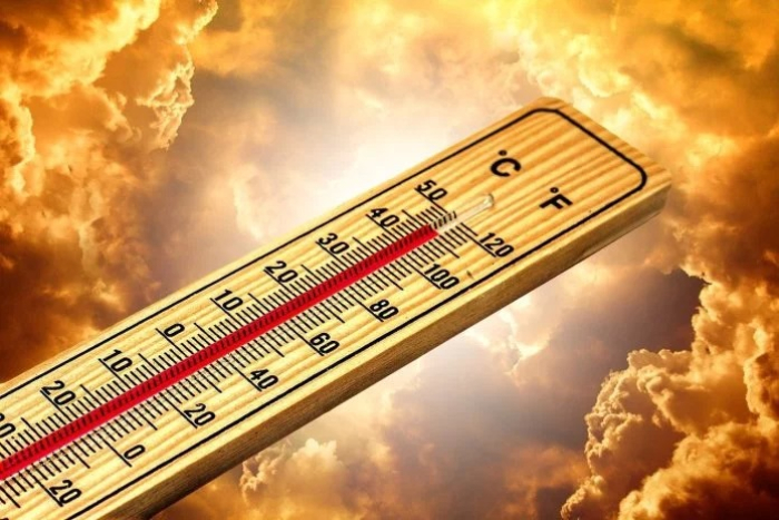 Во Шпанија во јуни од екстремно топлото време починале 1.028 луѓе