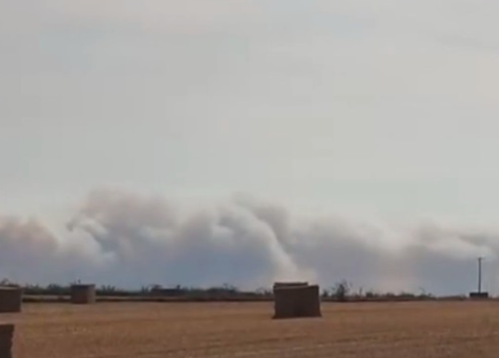 ВИДЕО: Вонредна состојба во источна Англија поради голем шумски пожар
