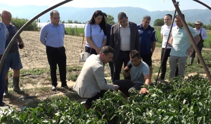 Општина Струмица ги повикува граѓаните да ги пријават штетите од невремето за да се обезбеди соодветна поддршка