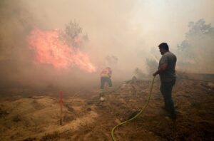 Пожари се шират низ Португалија