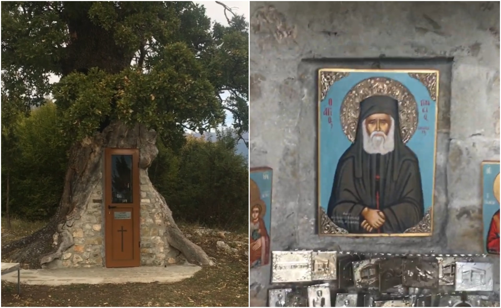Чудо на природата: Мала црква изградена во внатрешноста на вековно дрво, секоја година привлекува илјадници  верници и туристи во Грција (ВИДЕО)