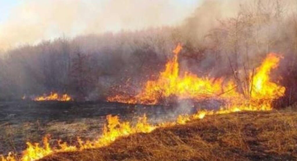 Приведен велешанец поради предизвикување пожар во Долно Оризари