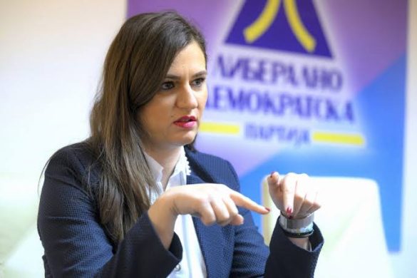 ЛДП: ЕУ воведува флексибилност на границите