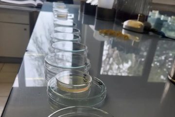 НАД 1.200 ЛУЃЕ ПРИЈАВИЛЕ СИМТОМИ НА ТРУЕЊЕ: Водата во Гостивар се анализира и во Институт за јавно здравје