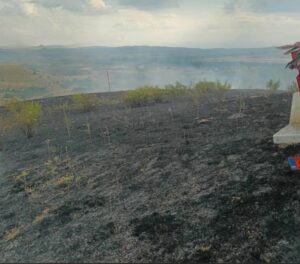 Гром предизвика пожар кај село Макреш, изгореа околу 15 хектари