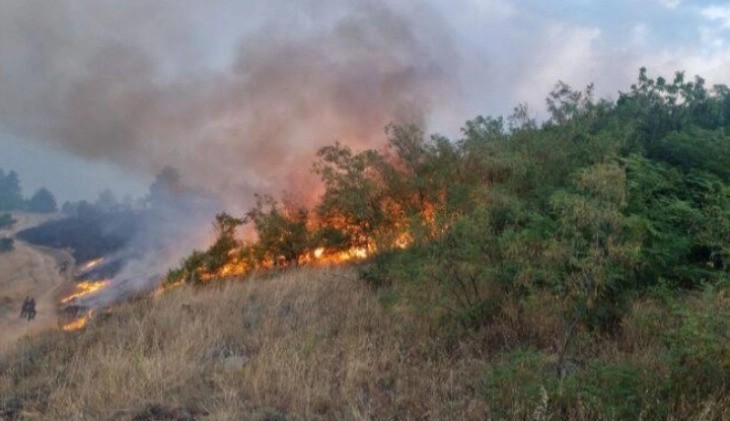 Голем пожар во источна Албанија, евакуирани 11 семејства