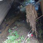 Чистите канали се основен предуслов за да нема излевања при поројни дождови