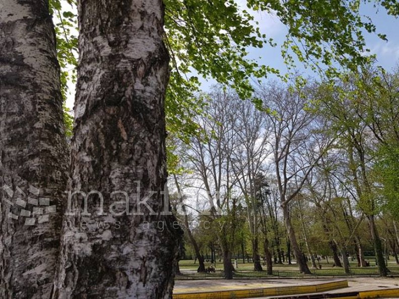 Утре сонце и температури до 36 степени, попладне услови за невреме