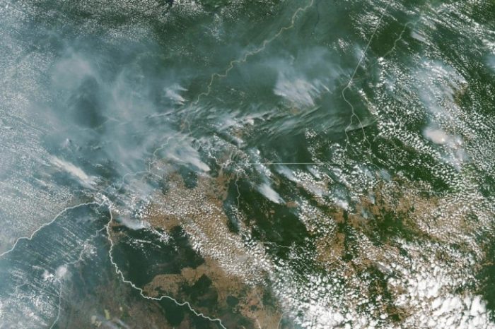 Површината на изгорени шуми во Амазон на најниско ниво во последните 40 години
