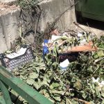 Смет во срцето на Битола во време кога градот е полн со туристи