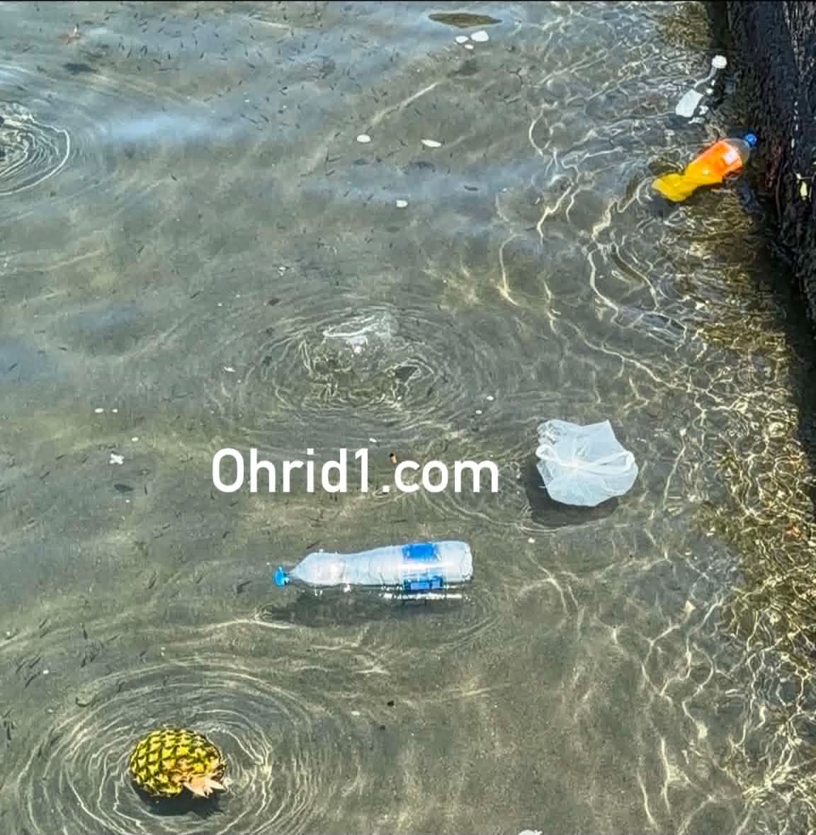 (ВИДЕО /ФОТО) По ноќните забави – кејот се чисти, но отпадот во Охридското Езеро останува да плута