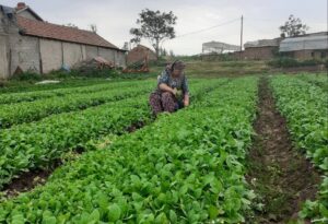 Владата со ребалансот ги пренасочува парите кон социјалата, земјоделството и капиталните проекти