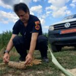 Артилериска граната пронајдена кај битолското село Меџитлија