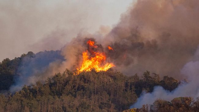 НАЈМАЛКУ 12 ЗАГИНАТИ ВО ШУМСКИ ПОЖАР ВО ШПАНИЈА ОТКАКО ПАДНАЛ ДАЛНОВОД
