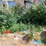 Битола и коровот – кој го одржува јавното зеленило ?