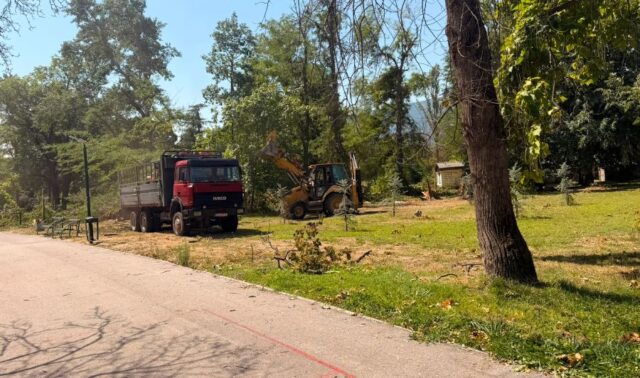 ЈП„Паркови и зеленило“ деноноќно работи на расчистување на Градски парк, велат од Градот, а на терен нема ниту едно возило на претпријатието
