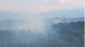 Пожар во парк шумата „Гази Баба“