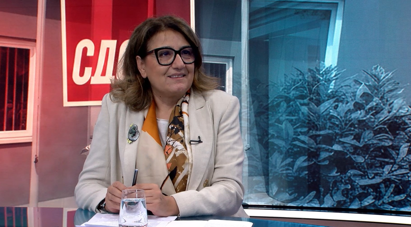 Тема на денот со Јованка Тренчевска, потпретседателка на СДСМ и пратеничка