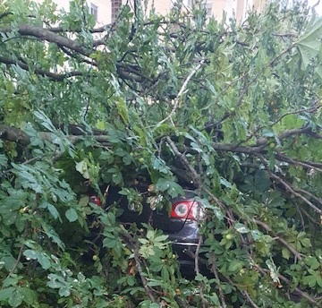 Над 8.300 повици на 112 во ЦУК по невремето