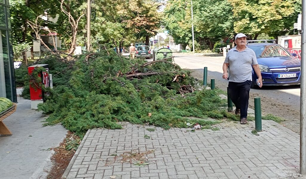 Орце открива биста на Ганди, а скопјани чекаат чисти патеки и тротоари по невремето (Фото/видео)