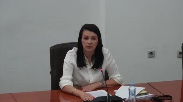 Костадиновска-Стојчевска: Власта одби воведување на нови државни награди „Блаже Конески“ и „Ремзи Несими“