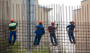 Над 900 дивоградби во Македонија минатата година