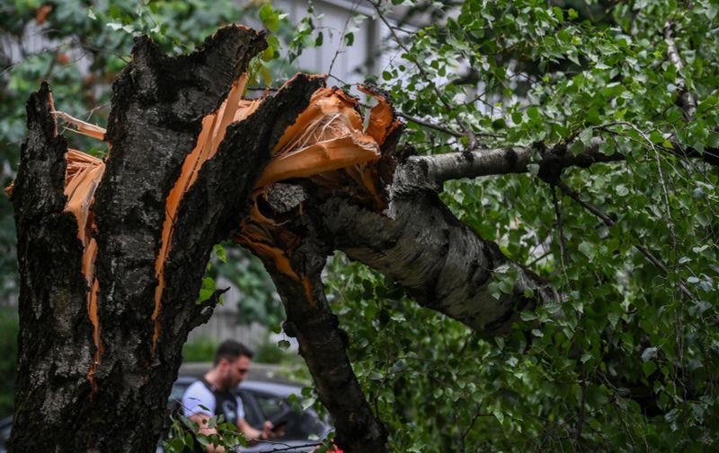 Тешкоповредена постара жена од паднато дрво во Карпош, а во чантата потоа и била пронајдена експлозивна направа