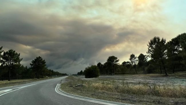 ФРАНЦИЈА НАРЕДИ ЕВАКУАЦИЈА НА ЦЕЛ ПОЛУОСТРОВ ПОРАДИ ПОЖАРИ, ИЛЈАДНИЦИ ТУРИСТИ БЕГААТ СО БРОДОВИ