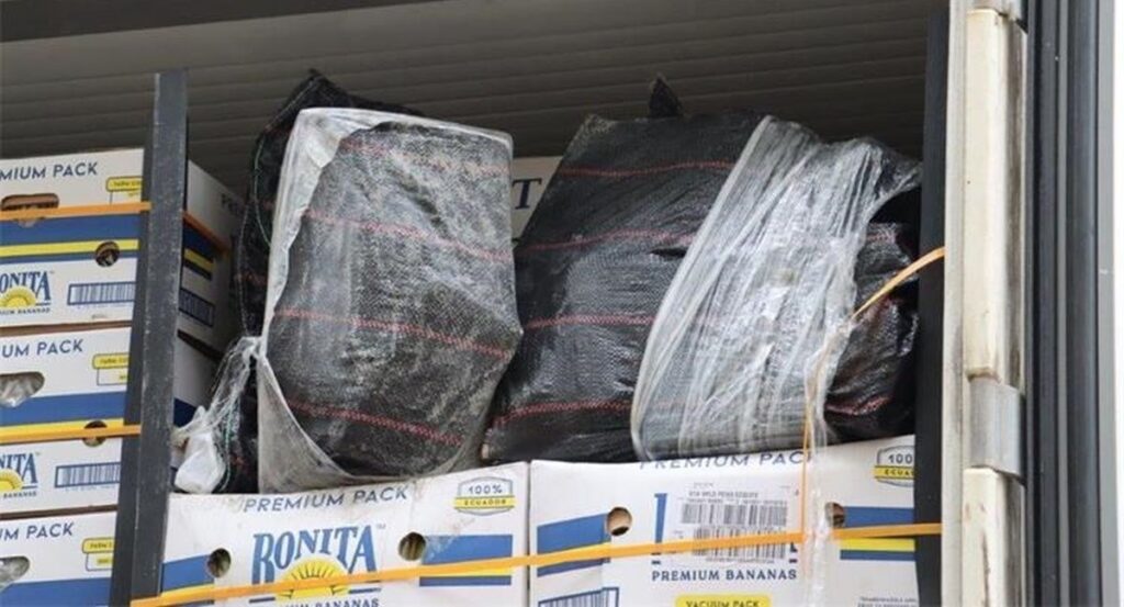 Уапсени 8 мажи во Скопје, Струга и Кичево поради дрога