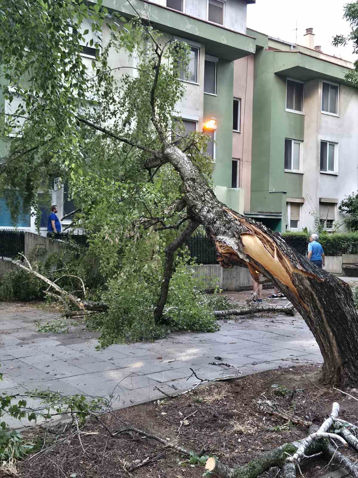 ФАКТОР НА ДЕНОТ: Во невремето има 33 повредени луѓе