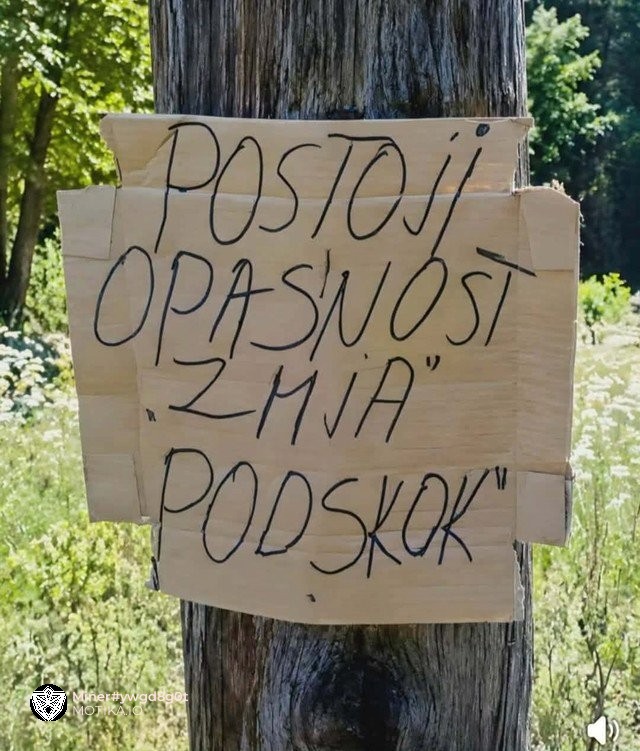 Србинот само сакаше да предупреди за змија, но веднаш ќе сфатите зошто натписов стана хит