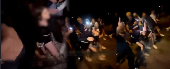НАСИЛСТВО МЕЃУ ДЕВОЈЧИНА: Сниман напад врз 12-годишно девојче од 14-годишно, и друга малолетнички, во парк во скопски Аеродром