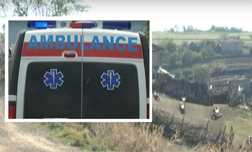 Велешанка касната од пајак „Црна Вдовица“