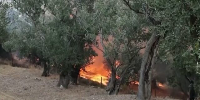 Грција во пламен: Тројца пожарникари загинаа во борбата со огнената стихија