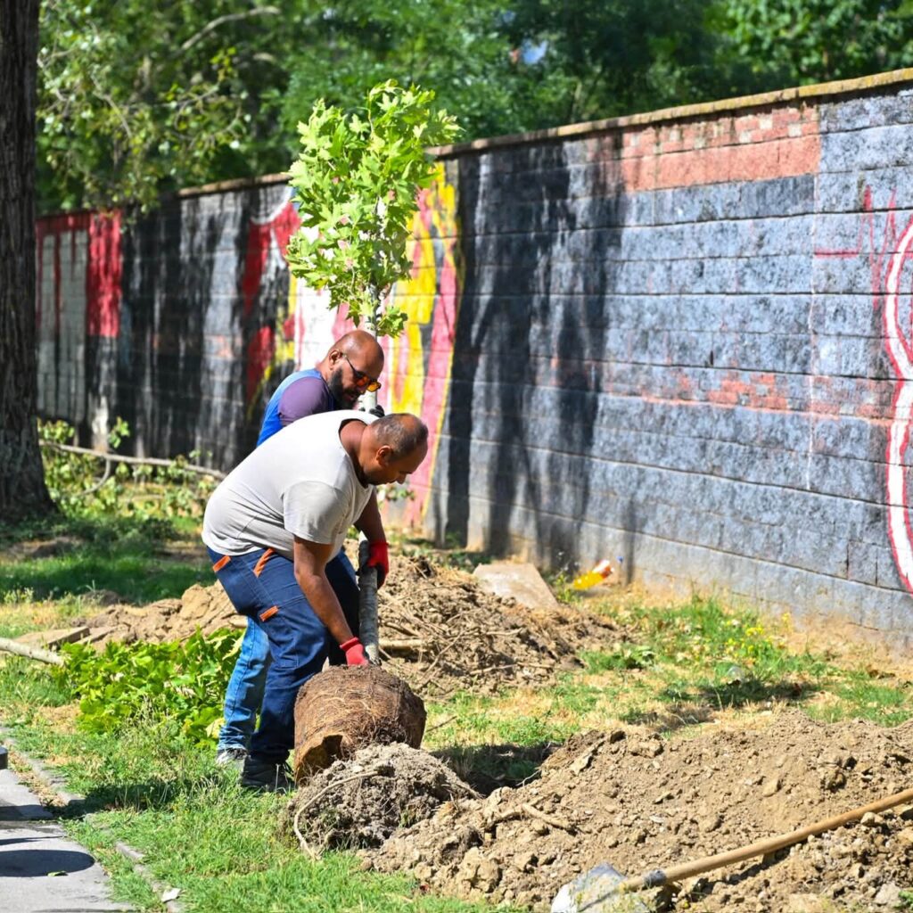 Град Скопје ќе засади 60 нови садници во Градски Парк