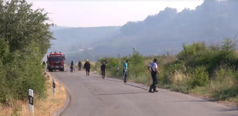 Повеќе од 250 хектари земјоделско земјиште изгореа во пожарот во Пробиштип