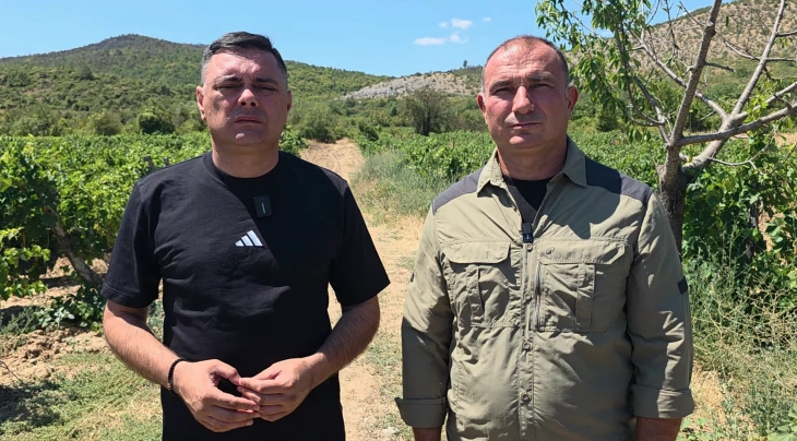 Пожарот во Кавадаречко е под речиси целосна контрола, до вечер се очекува да биде изгаснат