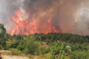 Регистрирани се 17 пожари на отворено во Македонија