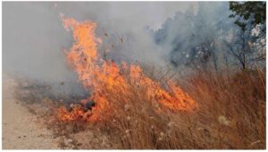 Во изминатото деноноќие 30 пожари на отворено