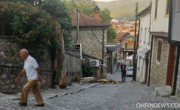 Исушено дрво падна во центарот на Охрид, нема повредени (дпл)