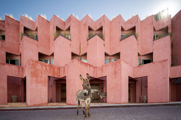 Хотел во Мексико базиран на филозофијата „архитектура за сетилата“