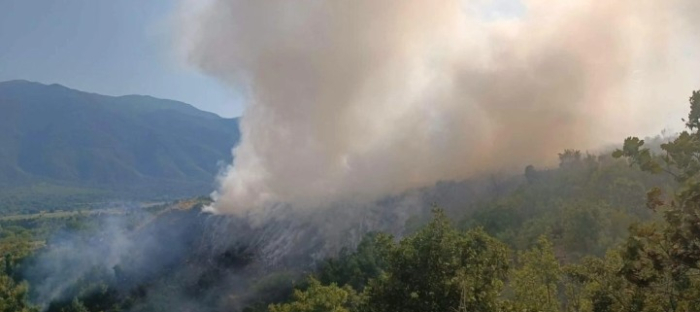 Намерно подметнат пожар кај депонијата во Ново Село се прошири во шумскиот појас