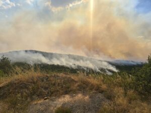 Два пожари на отворено во гостиварско изминатото деноноќие, во земјава 26