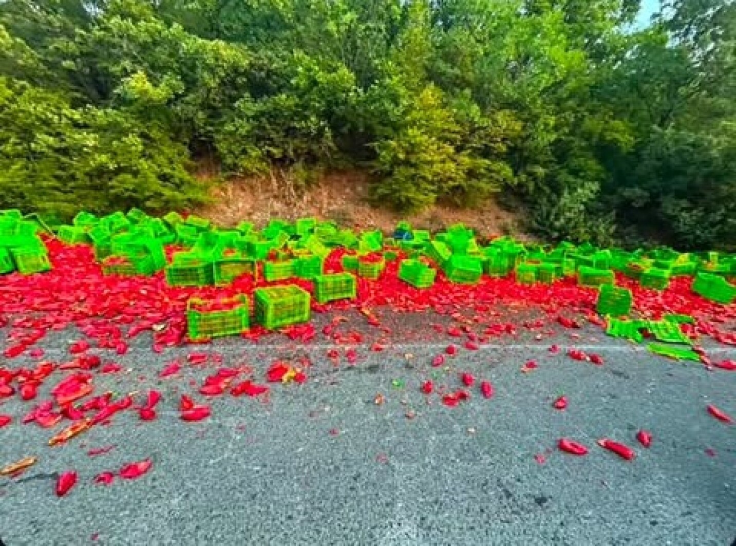 (Фото) Внимателно на патот Струмица–Валандово: Истурени пиперки на коловозот кај Костурино