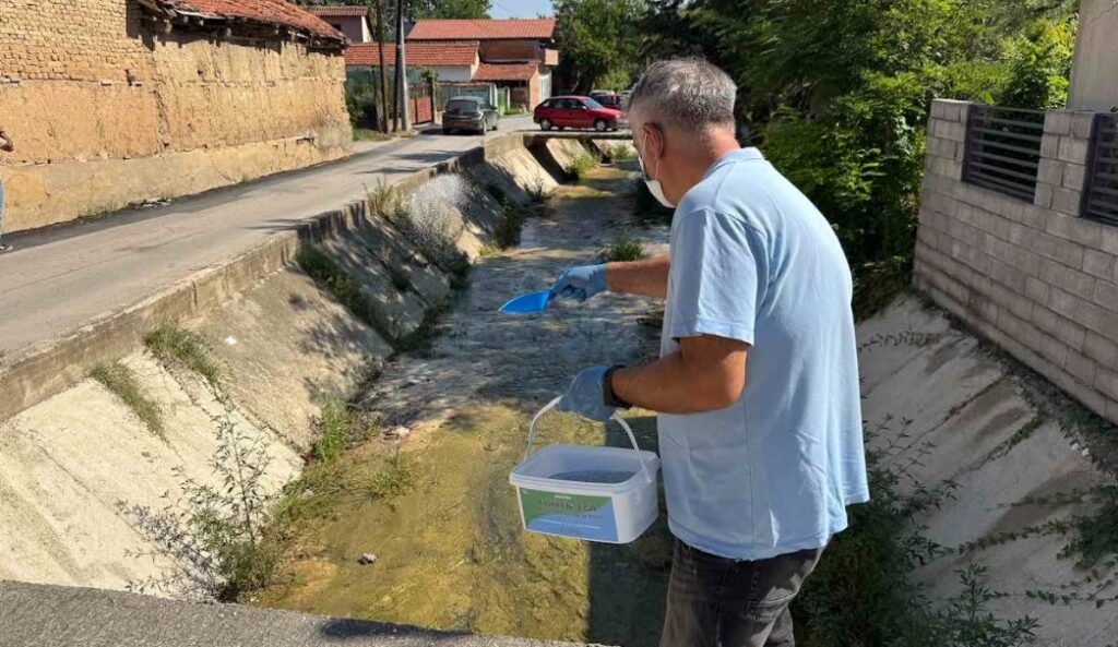 Вонредна дезинсекција во Драчево: Денеска акција против ларви, во петок прскање против возрасни комарци