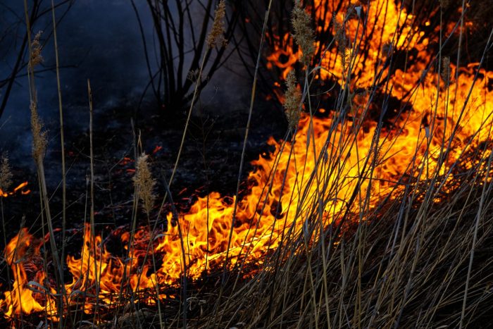 ПОЖАРИ НА ОТВОРЕНО: Во изминатото деноноќие регистрирани 22 пожари, сите се изгаснати и нема ниеден активен, соопшти ЦУК